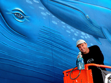 humpback whale orca dolphin manatee marlin murals